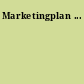 Marketingplan ...
