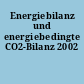 Energiebilanz und energiebedingte CO2-Bilanz 2002