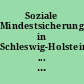 Soziale Mindestsicherung in Schleswig-Holstein ... : Kreisergebnisse