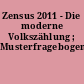 Zensus 2011 - Die moderne Volkszählung ; Musterfragebogen