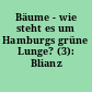 Bäume - wie steht es um Hamburgs grüne Lunge? (3): Blianz 2013