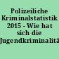 Polizeiliche Kriminalstatistik 2015 - Wie hat sich die Jugendkriminalität entwicklelt?