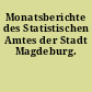Monatsberichte des Statistischen Amtes der Stadt Magdeburg.