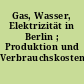 Gas, Wasser, Elektrizität in Berlin ; Produktion und Verbrauchskosten 1924/1928