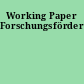 Working Paper Forschungsförderung