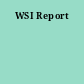 WSI Report