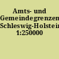 Amts- und Gemeindegrenzen Schleswig-Holstein 1:250000