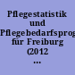 Pflegestatistik und Pflegebedarfsprognose für Freiburg (2012 bis 2030)