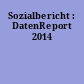 Sozialbericht : DatenReport 2014