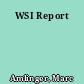 WSI Report