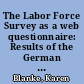 The Labor Force Survey as a web questionnaire: Results of the German pretest within the ESSnet DCSS project