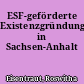 ESF-geförderte Existenzgründung in Sachsen-Anhalt