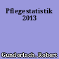 Pflegestatistik 2013