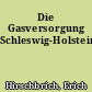 Die Gasversorgung Schleswig-Holsteins