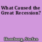 What Caused the Great Recession?
