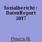 Sozialbericht : DatenReport 2017