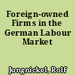 Foreign-owned Firms in the German Labour Market