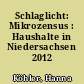 Schlaglicht: Mikrozensus : Haushalte in Niedersachsen 2012