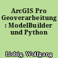 ArcGIS Pro Geoverarbeitung : ModelBuilder und Python