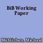 BiB Working Paper
