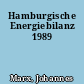 Hamburgische Energiebilanz 1989