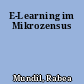 E-Learning im Mikrozensus