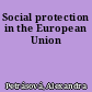 Social protection in the European Union