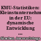 KMU-Statistiken: Kleinstunternehmen in der EU: dynamische Entwicklung im Jahr 1997
