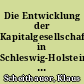 Die Entwicklung der Kapitalgesellschaften in Schleswig-Holstein von 1965 bis 1967