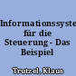 Informationssystem für die Steuerung - Das Beispiel Nürnberg