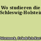 Wo studieren die Schleswig-Holsteiner?