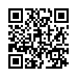 QR Code (код быстрого отклика)