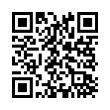 QR Code (код быстрого отклика)