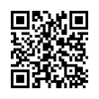 QR Code (код быстрого отклика)