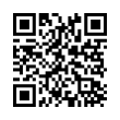 QR Code (код быстрого отклика)