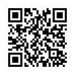 QR Code (код быстрого отклика)