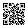 QR Code (код быстрого отклика)