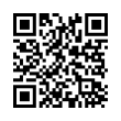 QR Code (код быстрого отклика)