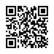 QR Code (код быстрого отклика)