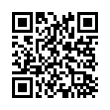 QR Code (код быстрого отклика)