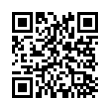 QR Code (код быстрого отклика)