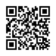 QR Code (код быстрого отклика)