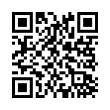 QR Code (код быстрого отклика)