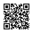 QR Code (код быстрого отклика)