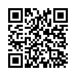 QR Code (код быстрого отклика)