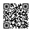 QR Code (код быстрого отклика)