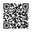 QR Code (код быстрого отклика)