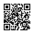 QR Code (код быстрого отклика)