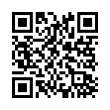 QR Code (код быстрого отклика)