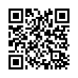 QR Code (код быстрого отклика)